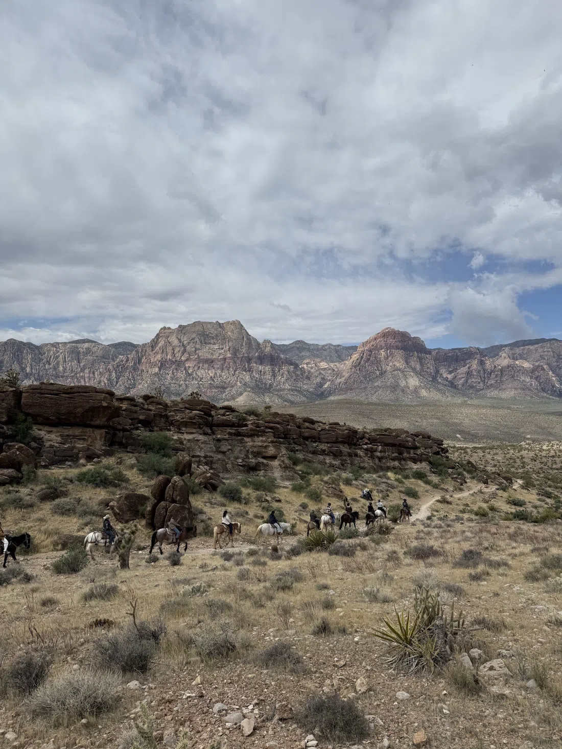 Cowboy Trail Rides, Las Vegas
